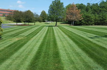 Residential & Commercial Lawncare